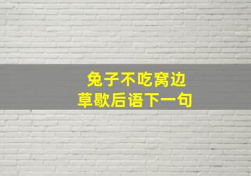 兔子不吃窝边草歇后语下一句