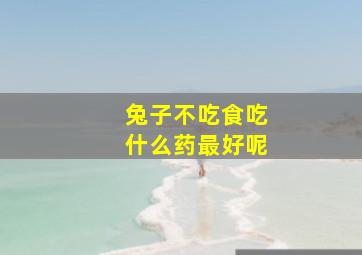 兔子不吃食吃什么药最好呢