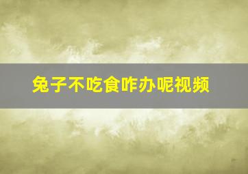 兔子不吃食咋办呢视频