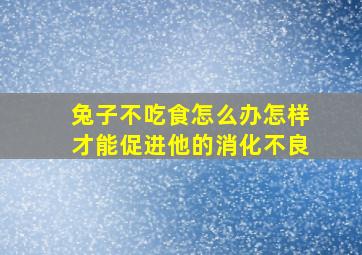 兔子不吃食怎么办怎样才能促进他的消化不良