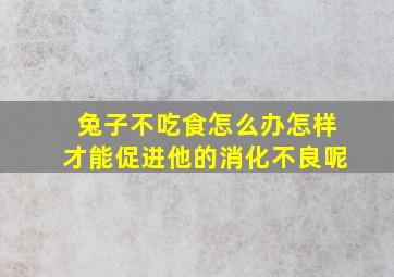 兔子不吃食怎么办怎样才能促进他的消化不良呢