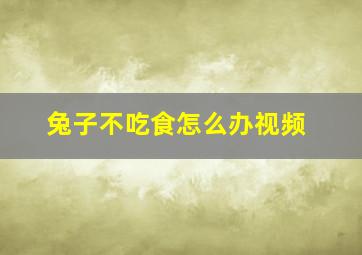 兔子不吃食怎么办视频