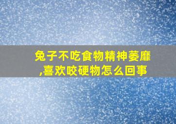 兔子不吃食物精神萎靡,喜欢咬硬物怎么回事