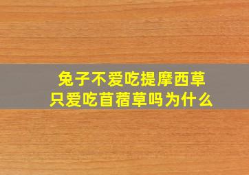 兔子不爱吃提摩西草只爱吃苜蓿草吗为什么