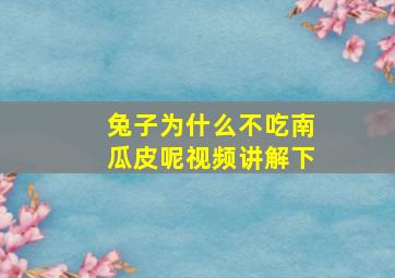 兔子为什么不吃南瓜皮呢视频讲解下