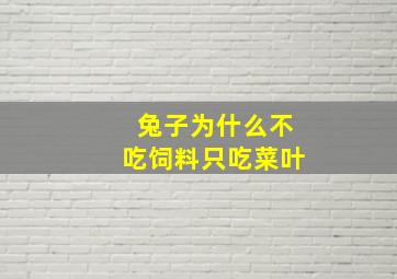 兔子为什么不吃饲料只吃菜叶