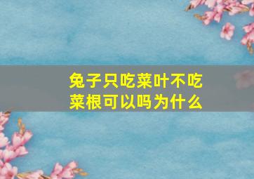 兔子只吃菜叶不吃菜根可以吗为什么