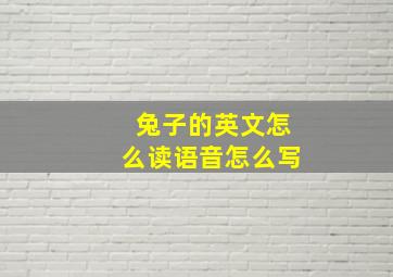 兔子的英文怎么读语音怎么写