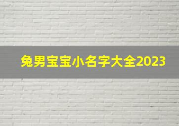 兔男宝宝小名字大全2023