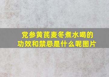 党参黄芪麦冬煮水喝的功效和禁忌是什么呢图片