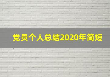 党员个人总结2020年简短