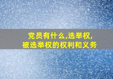 党员有什么,选举权,被选举权的权利和义务