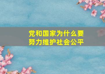 党和国家为什么要努力维护社会公平