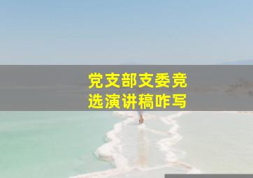 党支部支委竞选演讲稿咋写