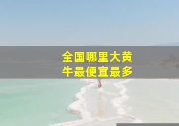 全国哪里大黄牛最便宜最多