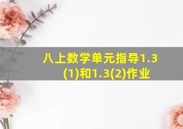 八上数学单元指导1.3(1)和1.3(2)作业