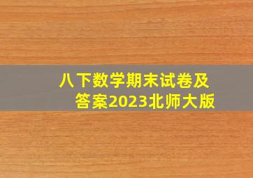 八下数学期末试卷及答案2023北师大版