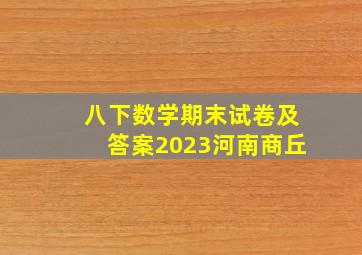 八下数学期末试卷及答案2023河南商丘