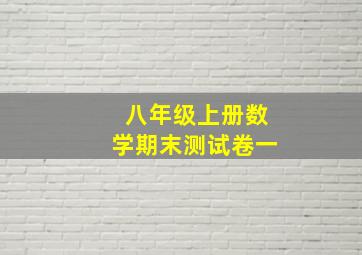 八年级上册数学期末测试卷一