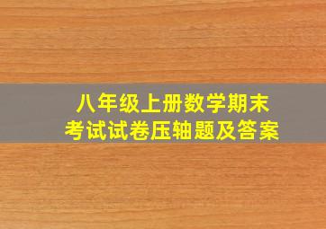 八年级上册数学期末考试试卷压轴题及答案