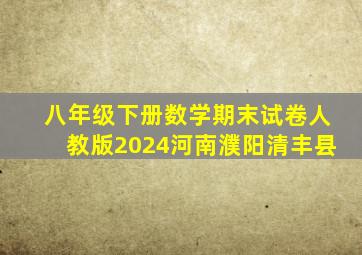 八年级下册数学期末试卷人教版2024河南濮阳清丰县