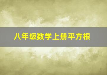 八年级数学上册平方根