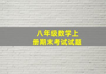 八年级数学上册期末考试试题