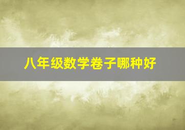 八年级数学卷子哪种好