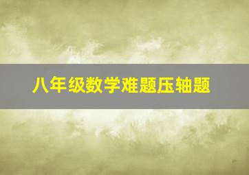 八年级数学难题压轴题