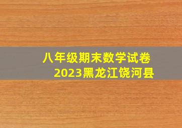 八年级期末数学试卷2023黑龙江饶河县