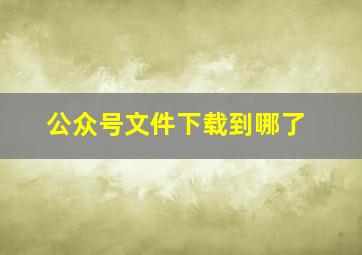 公众号文件下载到哪了