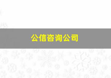 公信咨询公司