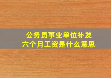 公务员事业单位补发六个月工资是什么意思