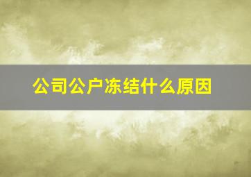 公司公户冻结什么原因