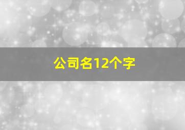 公司名12个字