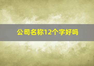 公司名称12个字好吗