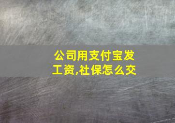 公司用支付宝发工资,社保怎么交