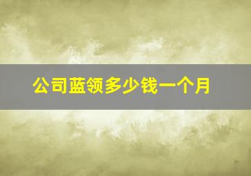 公司蓝领多少钱一个月