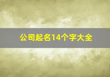 公司起名14个字大全