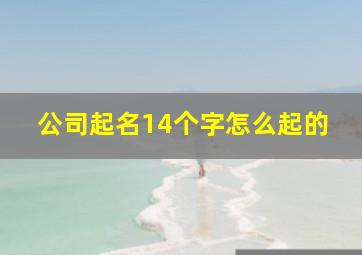 公司起名14个字怎么起的