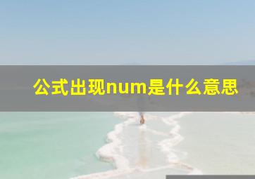 公式出现num是什么意思