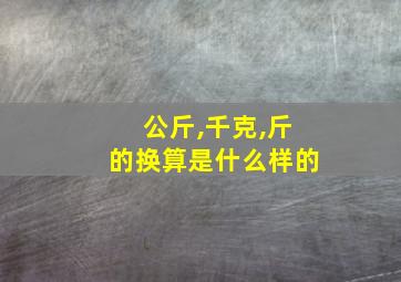 公斤,千克,斤的换算是什么样的