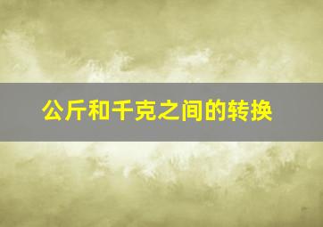 公斤和千克之间的转换