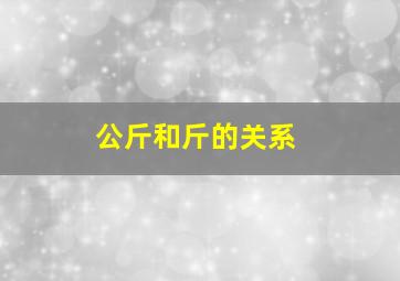 公斤和斤的关系