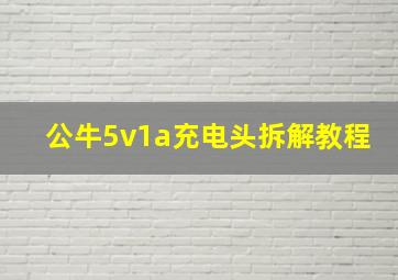 公牛5v1a充电头拆解教程