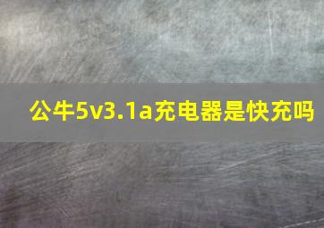 公牛5v3.1a充电器是快充吗