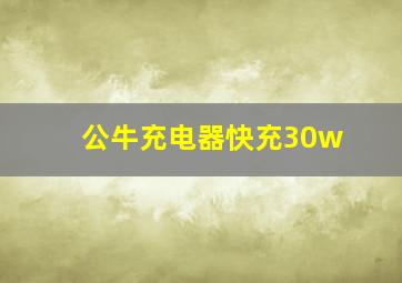 公牛充电器快充30w