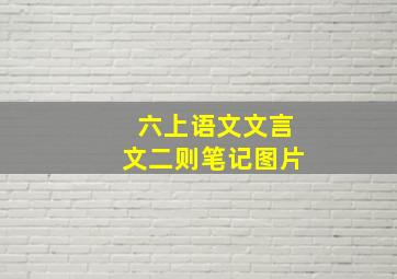 六上语文文言文二则笔记图片