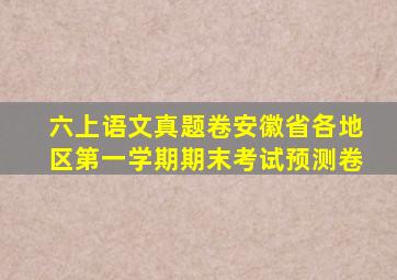 六上语文真题卷安徽省各地区第一学期期末考试预测卷