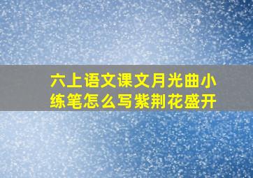 六上语文课文月光曲小练笔怎么写紫荆花盛开